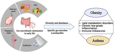 Complex interplay of gut microbiota between obesity and asthma in children